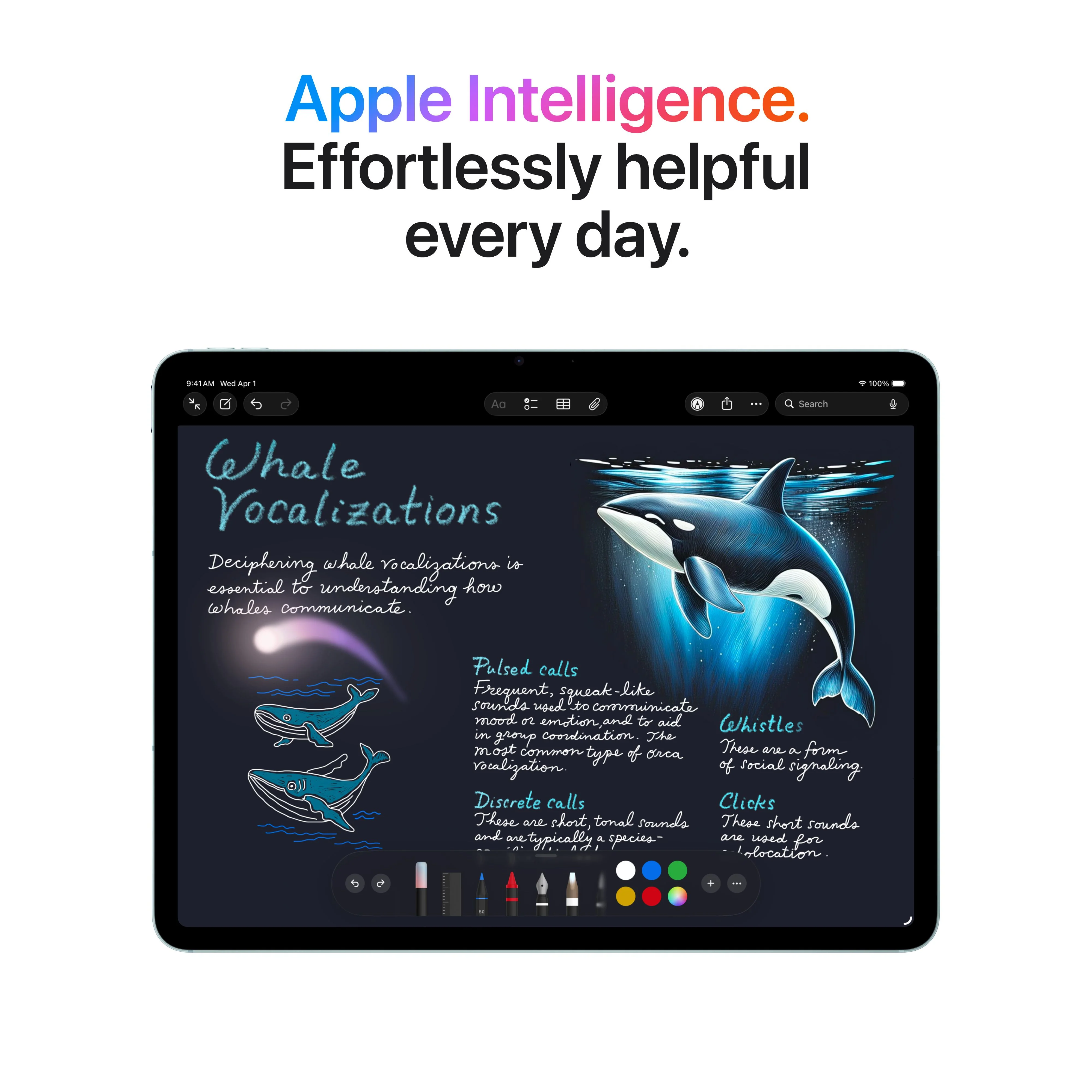 Productafbeelding 5